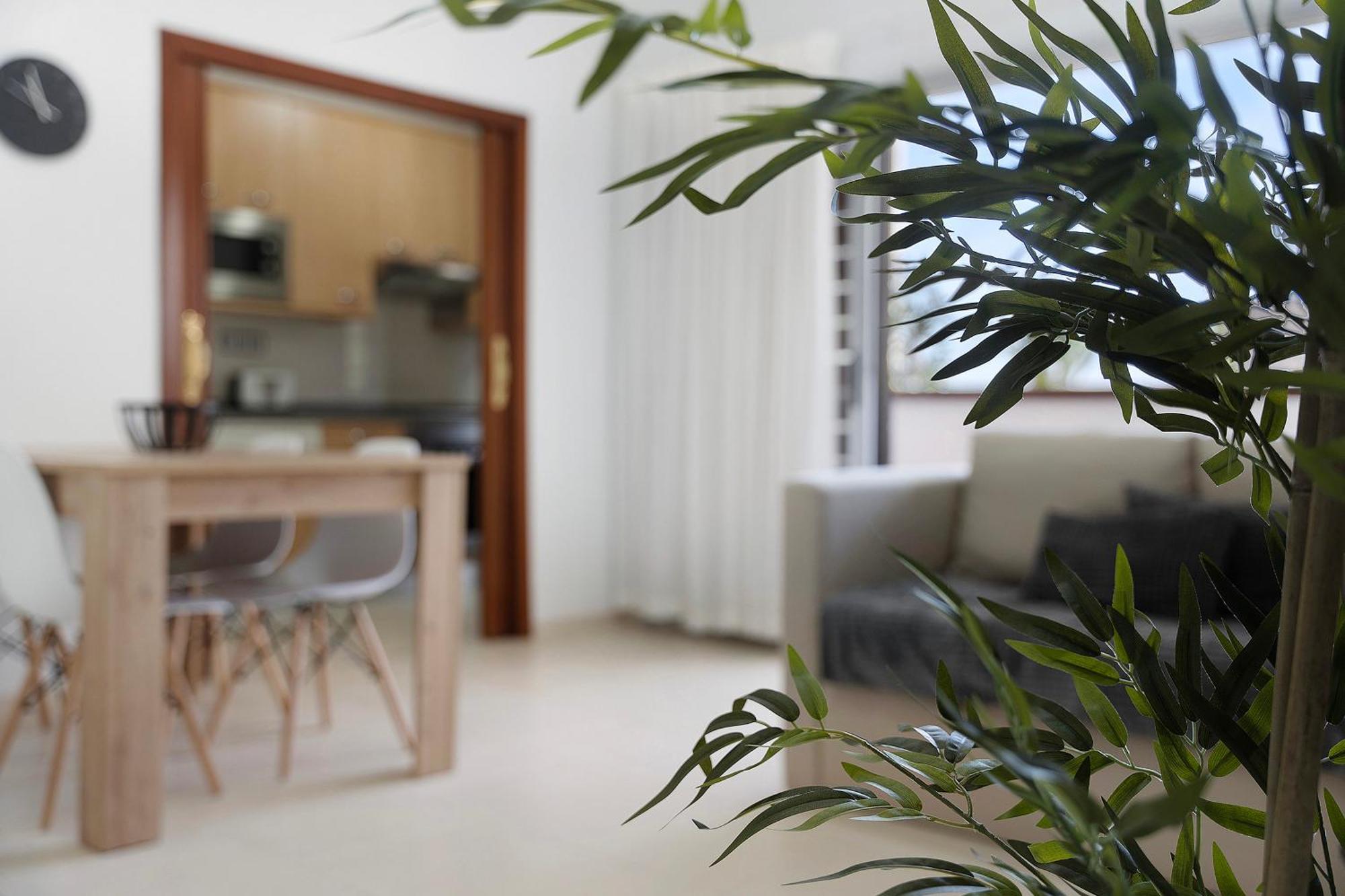 Apartamento Opuntia لا أوروتافا المظهر الخارجي الصورة